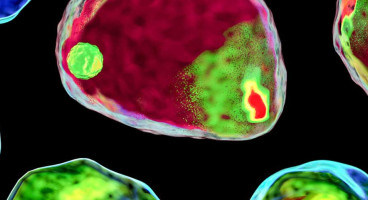 hero life science applications