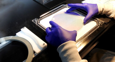 hero plate inspection