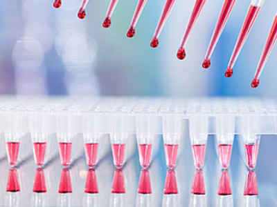 chroma pcr test tubes
