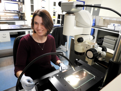 inspecting an optical filter