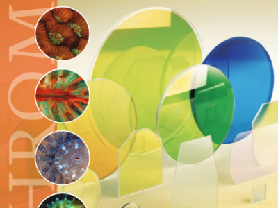 thumbnail chroma jp catalog 2024